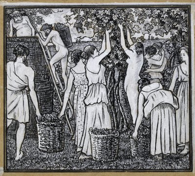 Vendemmia, studio compositivo per un
